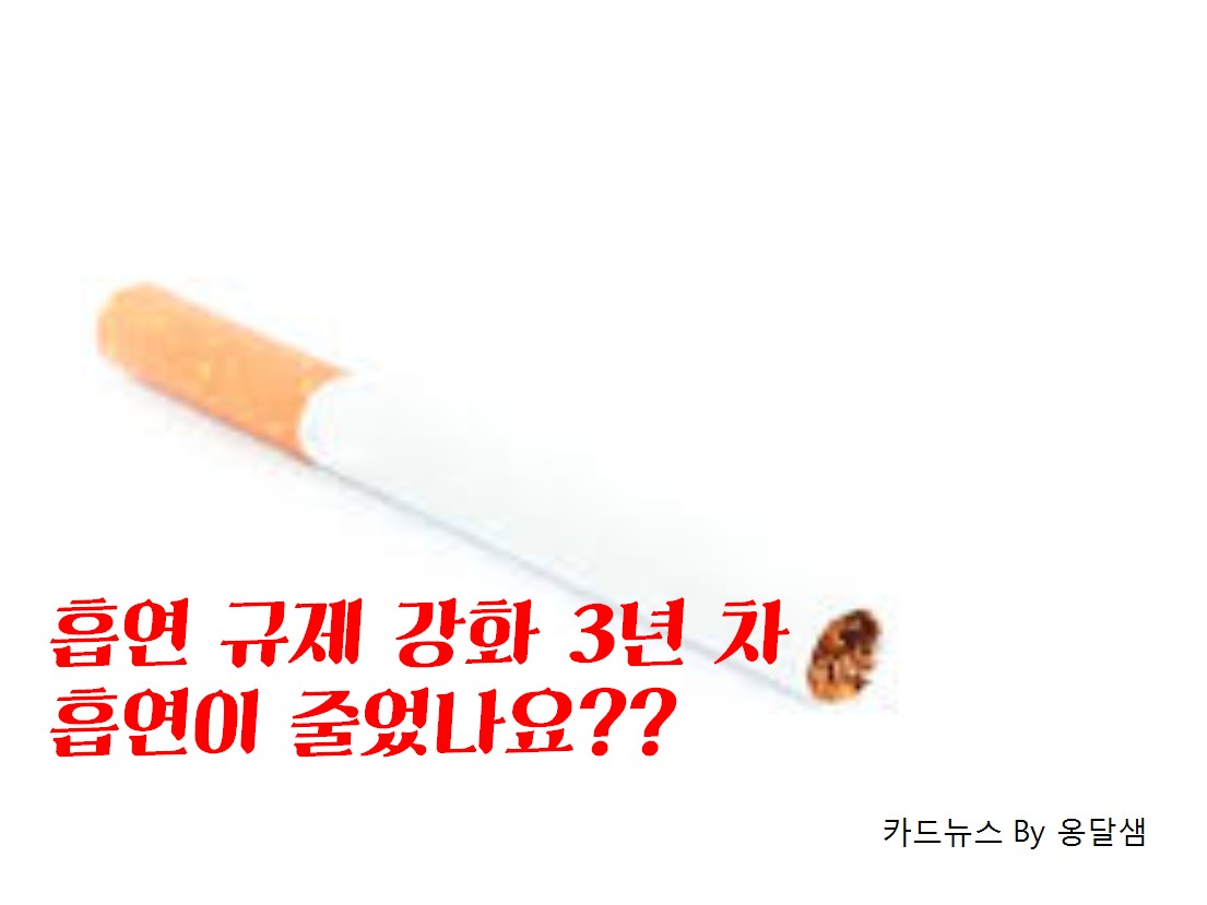 사용자 업로드 이미지