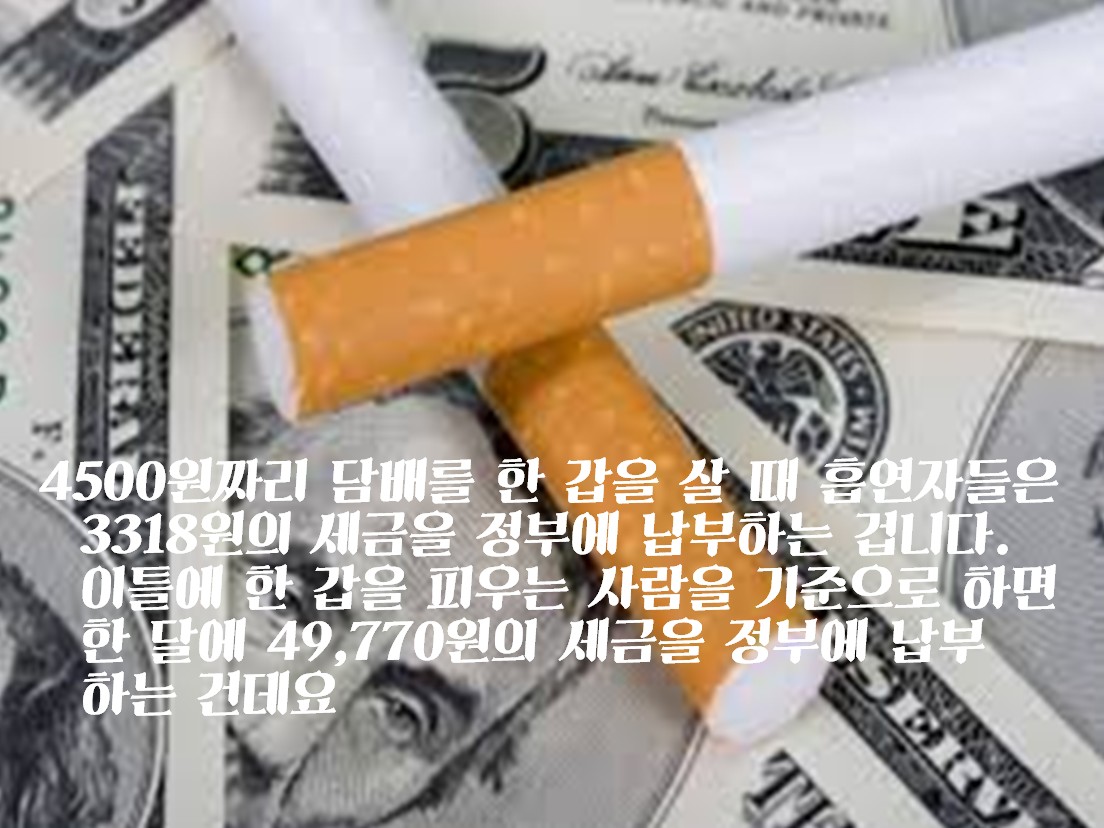 사용자 업로드 이미지