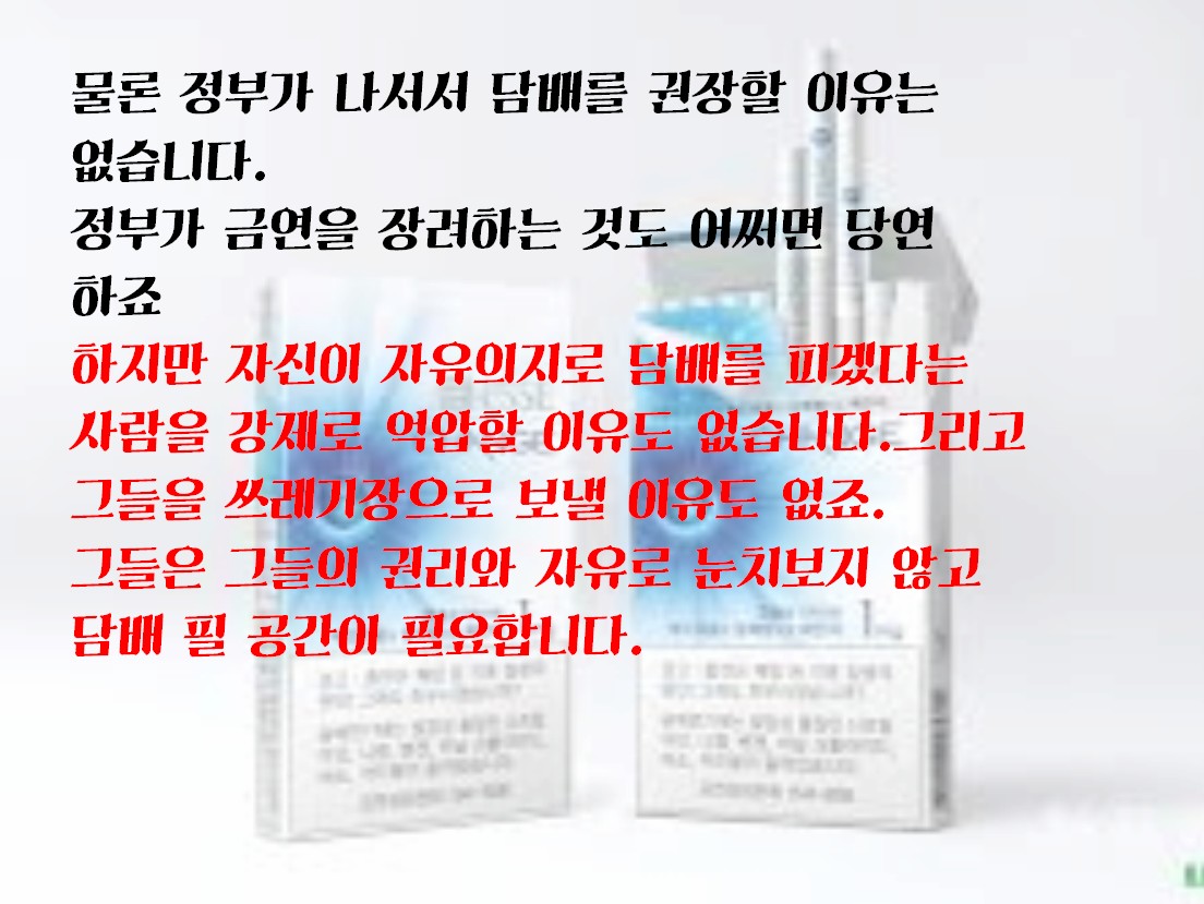 사용자 업로드 이미지