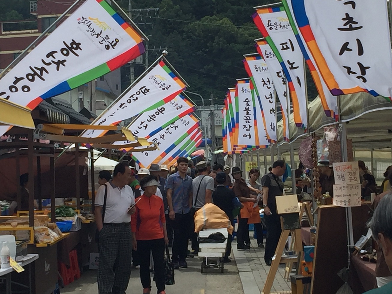 사용자 업로드 이미지