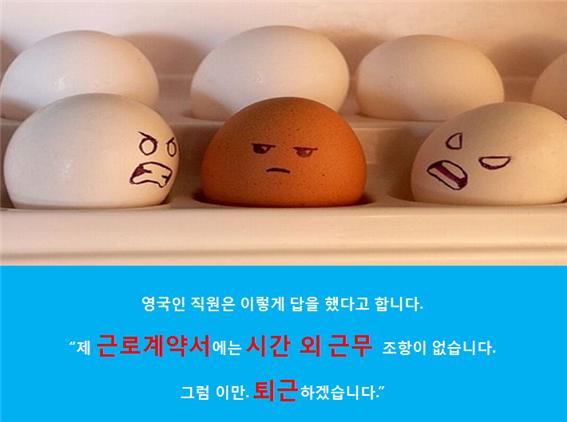 사용자 업로드 이미지