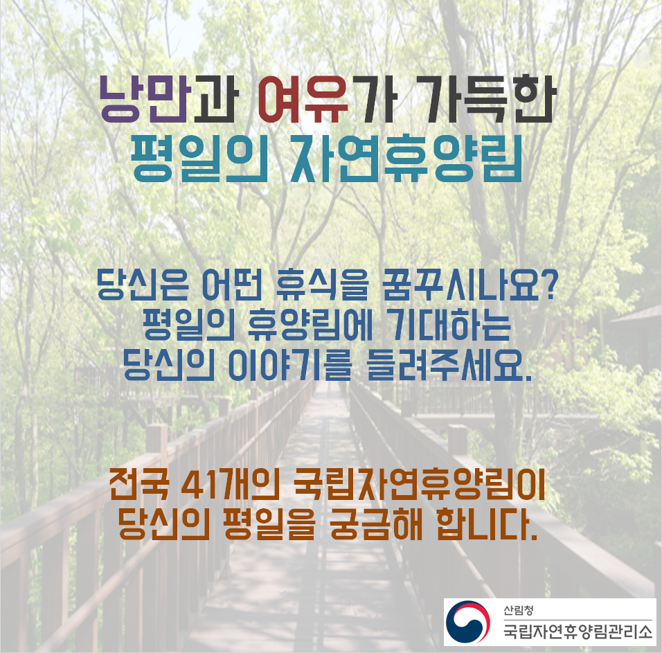 사용자 업로드 이미지