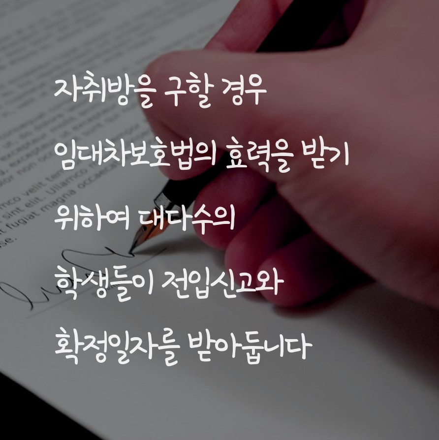 사용자 업로드 이미지