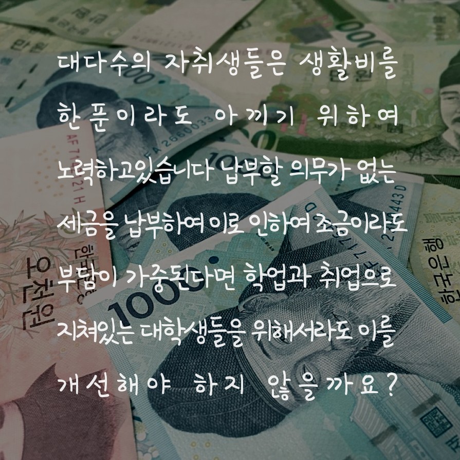 사용자 업로드 이미지