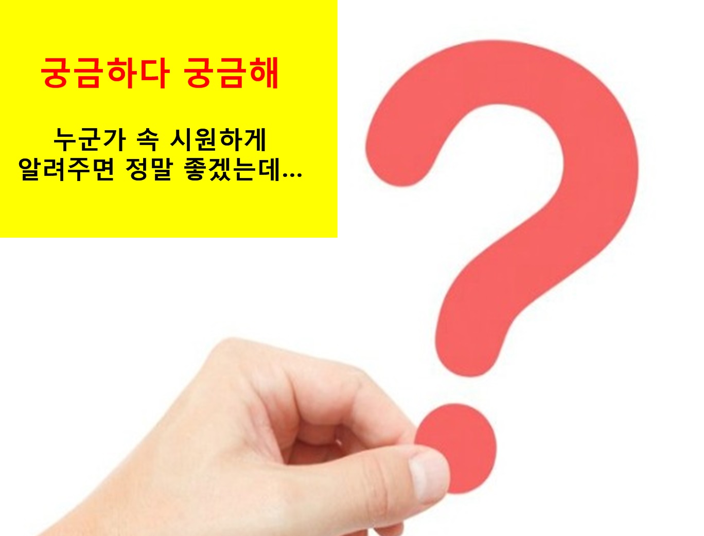 사용자 업로드 이미지