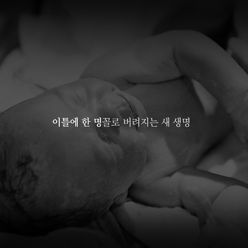 사용자 업로드 이미지