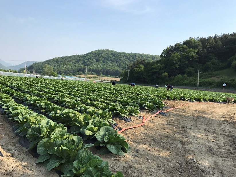 사용자 업로드 이미지