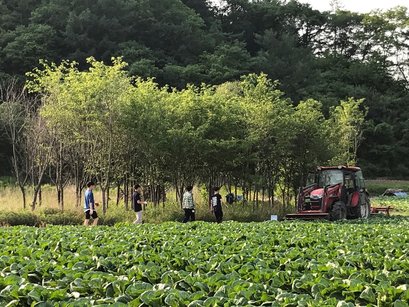 사용자 업로드 이미지